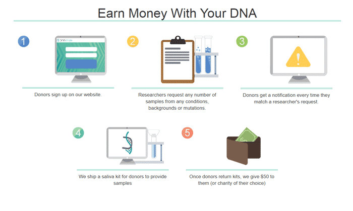 dna-simple-how-it-works