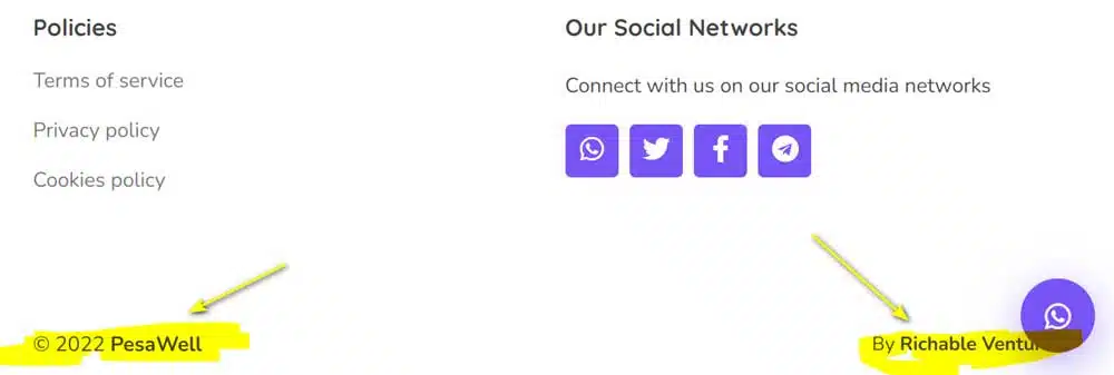 IkoPesa-Review---PesaWell-by-Richable-Ventures
