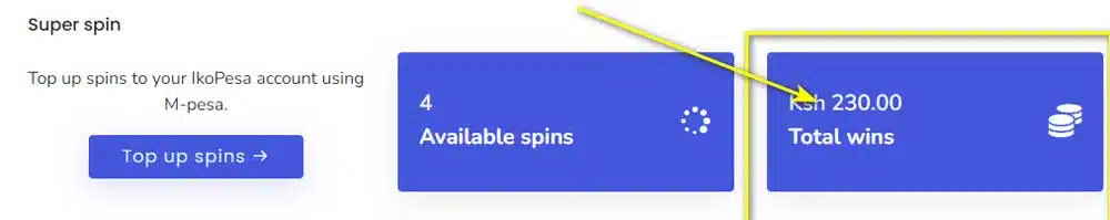 IkoPesa-Review---Spin-free