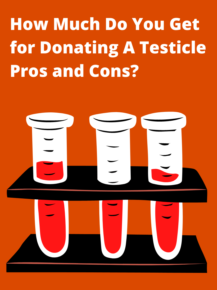 How Much Do You Get for Donating A Testicle Pros and Cons? Sell Testicles