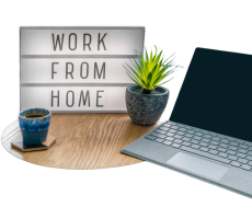 WORK FROM HOME SPROUTMENTOR (2)