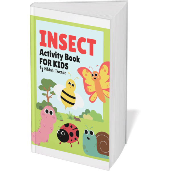 Insect-Activity-Book-For-Kids